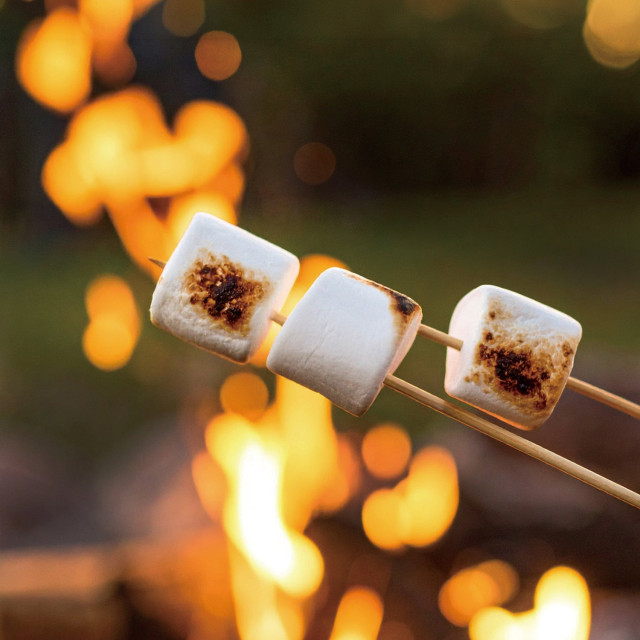 焚き火とマシュマロ焼き体験